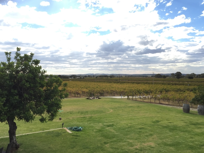 View from the deck at Artisans of Barossa